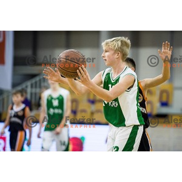Mini Pokal Spar 3rd place match basketball match between Krka and Ljubljana, Tivoli, Ljubljana, Slovenia on February 18, 2018