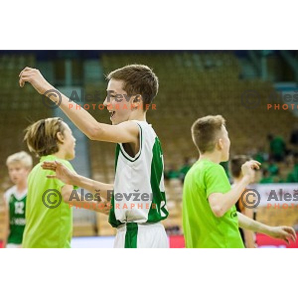 Mini Pokal Spar 3rd place match basketball match between Krka and Ljubljana, Tivoli, Ljubljana, Slovenia on February 18, 2018