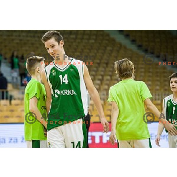 Mini Pokal Spar 3rd place match basketball match between Krka and Ljubljana, Tivoli, Ljubljana, Slovenia on February 18, 2018