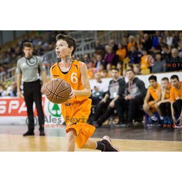 Mini Pokal Spar Final basketball match between Petrol Olimpija and Helios Suns, Tivoli, Ljubljana, Slovenia on February 18, 2018