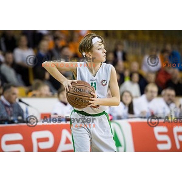 Mini Pokal Spar Final basketball match between Petrol Olimpija and Helios Suns, Tivoli, Ljubljana, Slovenia on February 18, 2018
