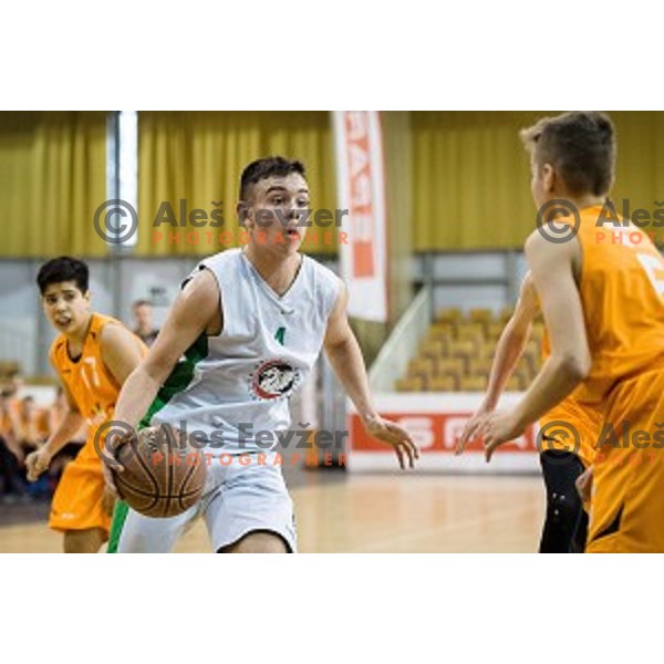 Mini Pokal Spar Final basketball match between Petrol Olimpija and Helios Suns, Tivoli, Ljubljana, Slovenia on February 18, 2018