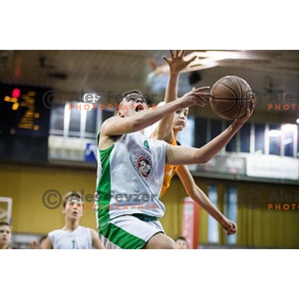 Mini Pokal Spar Final basketball match between Petrol Olimpija and Helios Suns, Tivoli, Ljubljana, Slovenia on February 18, 2018