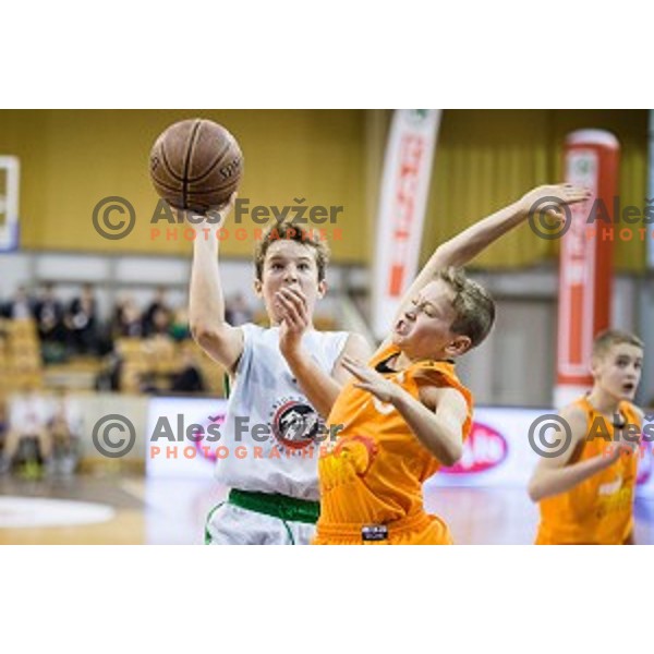 Mini Pokal Spar Final basketball match between Petrol Olimpija and Helios Suns, Tivoli, Ljubljana, Slovenia on February 18, 2018