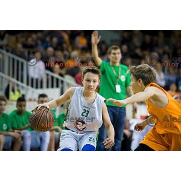 Mini Pokal Spar Final basketball match between Petrol Olimpija and Helios Suns, Tivoli, Ljubljana, Slovenia on February 18, 2018