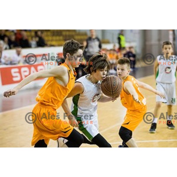Mini Pokal Spar Final basketball match between Petrol Olimpija and Helios Suns, Tivoli, Ljubljana, Slovenia on February 18, 2018