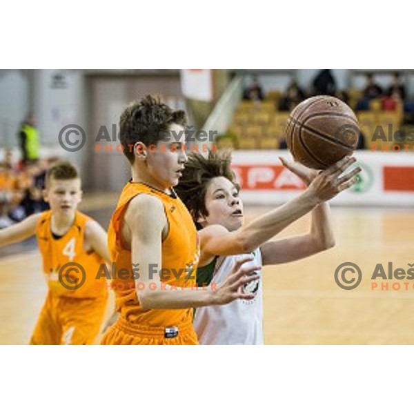 Mini Pokal Spar Final basketball match between Petrol Olimpija and Helios Suns, Tivoli, Ljubljana, Slovenia on February 18, 2018