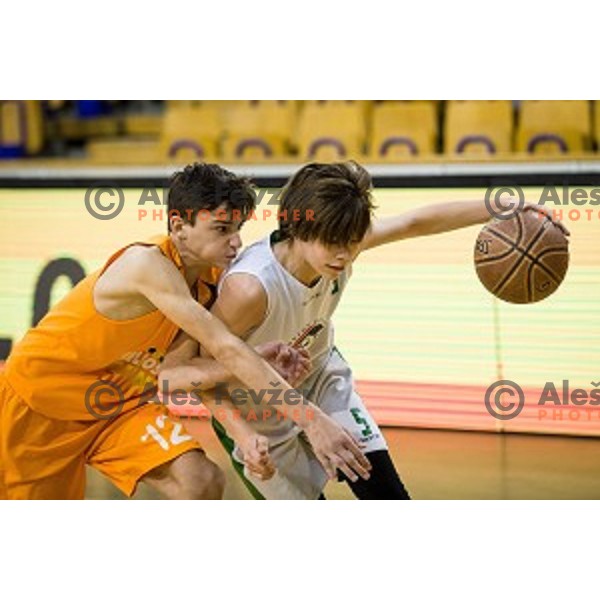 Mini Pokal Spar Final basketball match between Petrol Olimpija and Helios Suns, Tivoli, Ljubljana, Slovenia on February 18, 2018