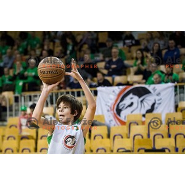 Mini Pokal Spar Final basketball match between Petrol Olimpija and Helios Suns, Tivoli, Ljubljana, Slovenia on February 18, 2018
