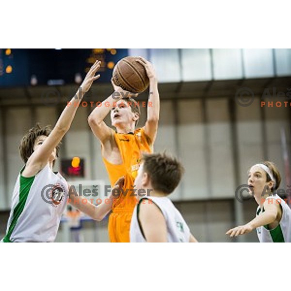 Mini Pokal Spar Final basketball match between Petrol Olimpija and Helios Suns, Tivoli, Ljubljana, Slovenia on February 18, 2018
