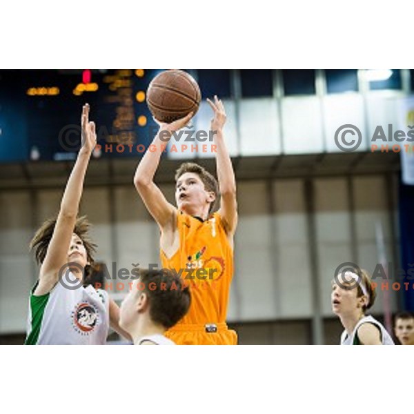 Mini Pokal Spar Final basketball match between Petrol Olimpija and Helios Suns, Tivoli, Ljubljana, Slovenia on February 18, 2018