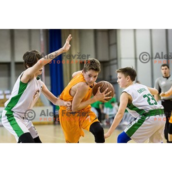 Mini Pokal Spar Final basketball match between Petrol Olimpija and Helios Suns, Tivoli, Ljubljana, Slovenia on February 18, 2018