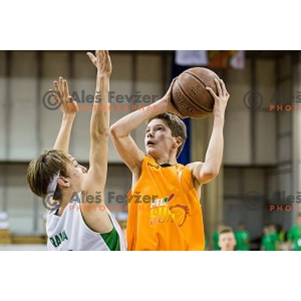 Mini Pokal Spar Final basketball match between Petrol Olimpija and Helios Suns, Tivoli, Ljubljana, Slovenia on February 18, 2018