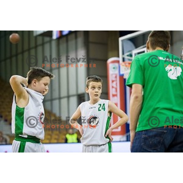 Mini Pokal Spar Final basketball match between Petrol Olimpija and Helios Suns, Tivoli, Ljubljana, Slovenia on February 18, 2018