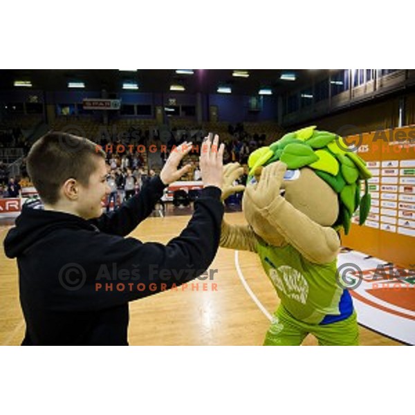 Mini Pokal Spar Final basketball match between Petrol Olimpija and Helios Suns, Tivoli, Ljubljana, Slovenia on February 18, 2018