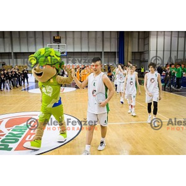 Mini Pokal Spar Final basketball match between Petrol Olimpija and Helios Suns, Tivoli, Ljubljana, Slovenia on February 18, 2018