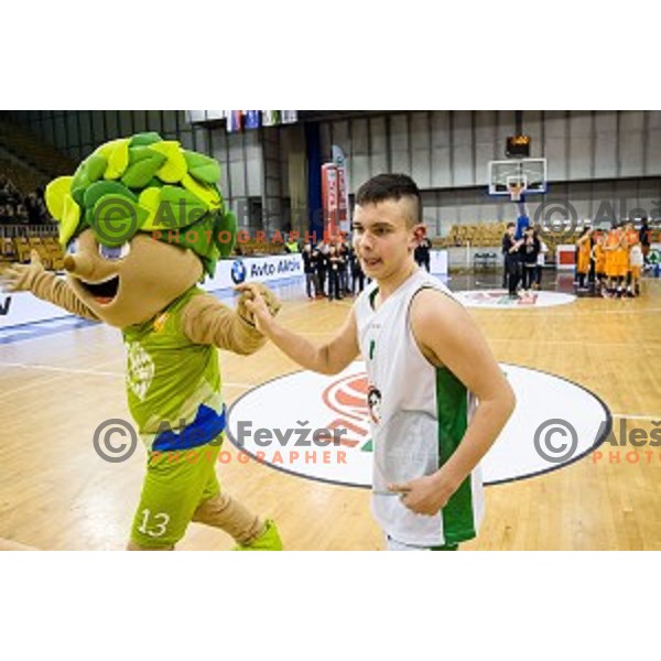 Mini Pokal Spar Final basketball match between Petrol Olimpija and Helios Suns, Tivoli, Ljubljana, Slovenia on February 18, 2018