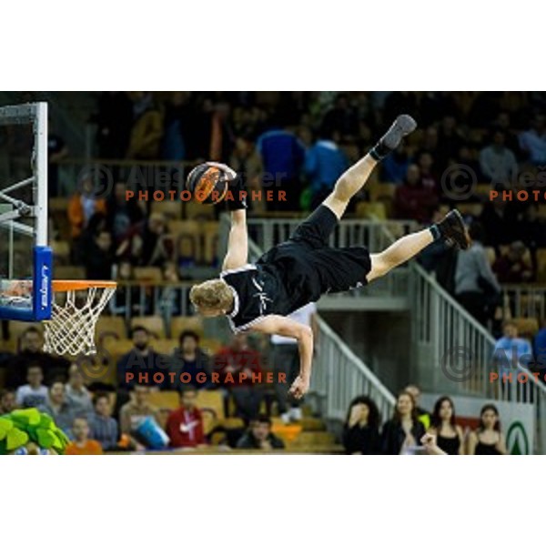 in action during Pokal Spar Final final basketball match between Sencur and SIXT Primorska, Tivoli, Ljubljana, Slovenia on February 18, 2018