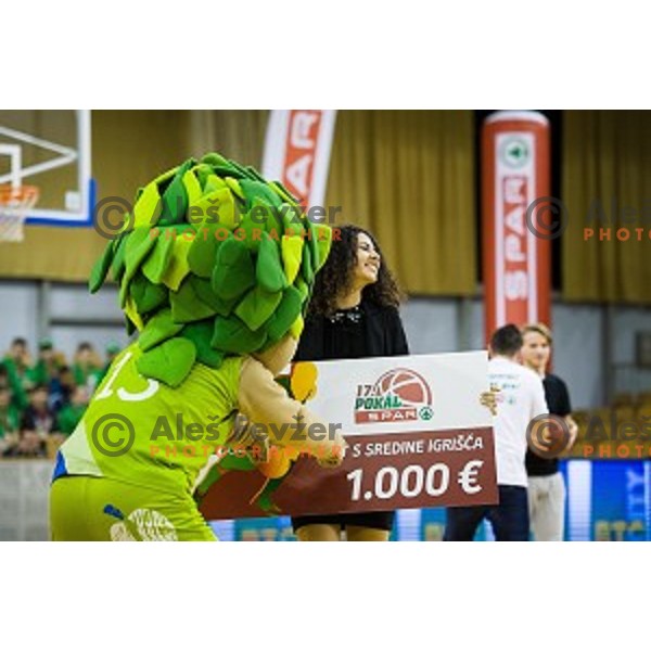 Pokal Spar Final final basketball match between Sencur and SIXT Primorska, Tivoli, Ljubljana, Slovenia on February 18, 2018