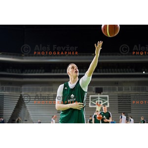 during training of the Slovenian basketball national team, Arena Stozice, Ljubljana, Slovenia on February 19, 2018