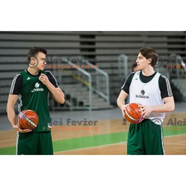 during training of the Slovenian basketball national team, Arena Stozice, Ljubljana, Slovenia on February 19, 2018