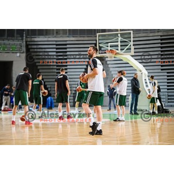 during training of the Slovenian basketball national team, Arena Stozice, Ljubljana, Slovenia on February 19, 2018