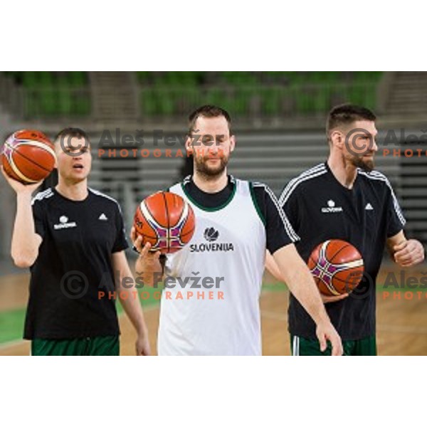 during training of the Slovenian basketball national team, Arena Stozice, Ljubljana, Slovenia on February 19, 2018