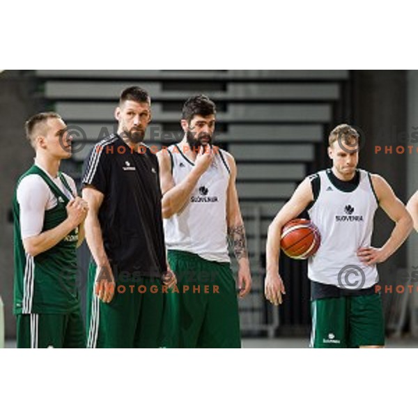 during training of the Slovenian basketball national team, Arena Stozice, Ljubljana, Slovenia on February 19, 2018