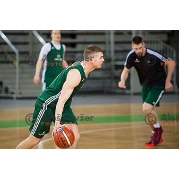 during training of the Slovenian basketball national team, Arena Stozice, Ljubljana, Slovenia on February 19, 2018