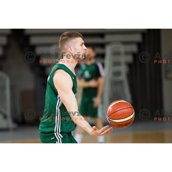 during training of the Slovenian basketball national team, Arena Stozice, Ljubljana, Slovenia on February 19, 2018
