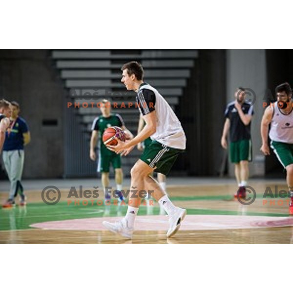 during training of the Slovenian basketball national team, Arena Stozice, Ljubljana, Slovenia on February 19, 2018