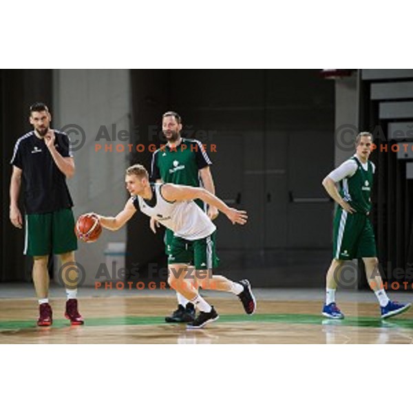 during training of the Slovenian basketball national team, Arena Stozice, Ljubljana, Slovenia on February 19, 2018