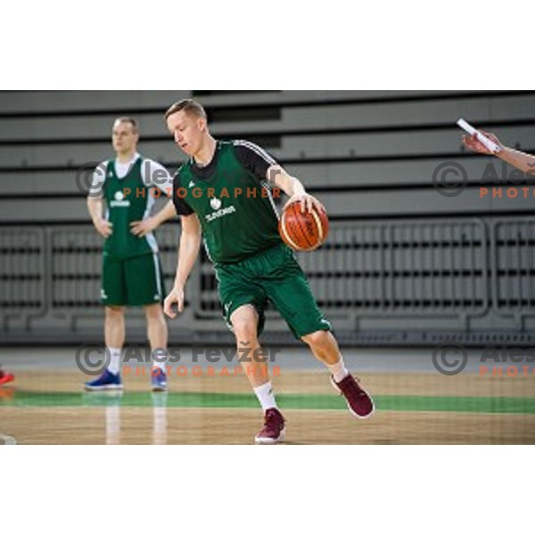 during training of the Slovenian basketball national team, Arena Stozice, Ljubljana, Slovenia on February 19, 2018