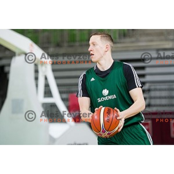 during training of the Slovenian basketball national team, Arena Stozice, Ljubljana, Slovenia on February 19, 2018