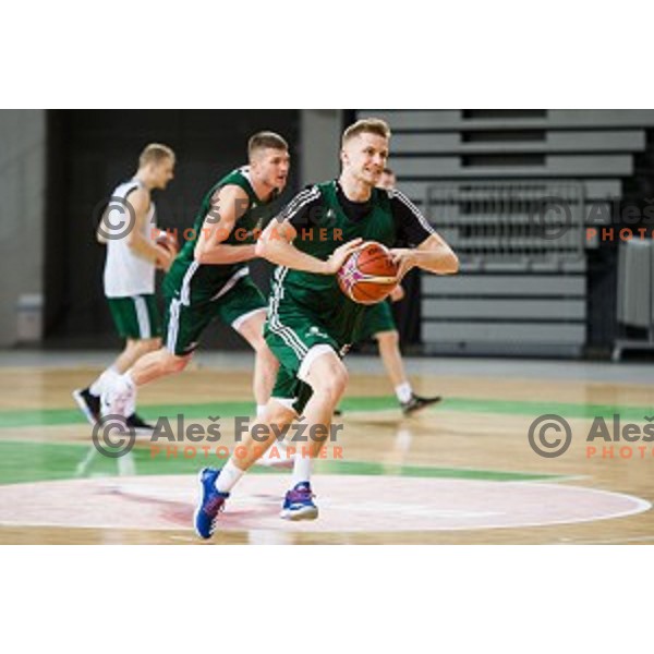 during training of the Slovenian basketball national team, Arena Stozice, Ljubljana, Slovenia on February 19, 2018