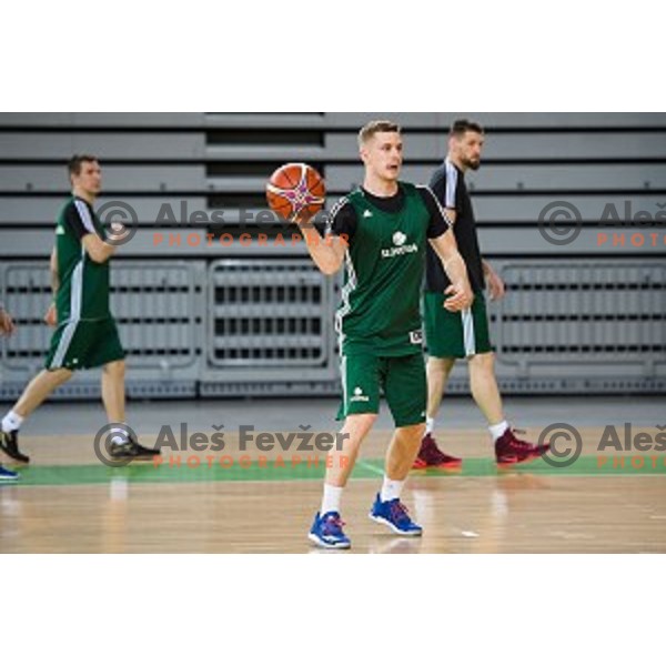 during training of the Slovenian basketball national team, Arena Stozice, Ljubljana, Slovenia on February 19, 2018