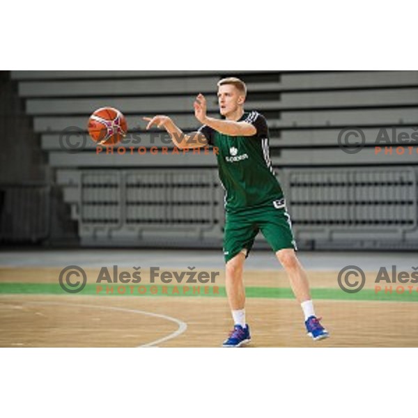 during training of the Slovenian basketball national team, Arena Stozice, Ljubljana, Slovenia on February 19, 2018