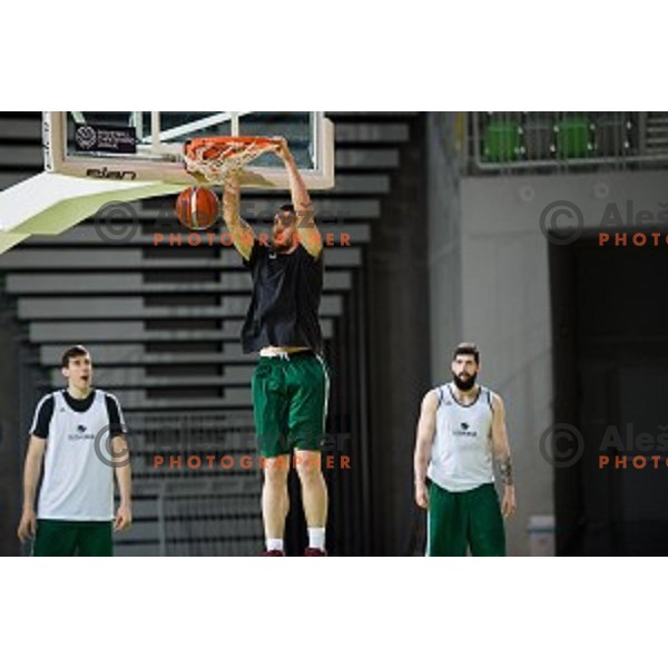 during training of the Slovenian basketball national team, Arena Stozice, Ljubljana, Slovenia on February 19, 2018