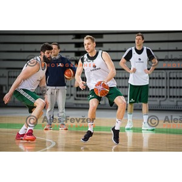 during training of the Slovenian basketball national team, Arena Stozice, Ljubljana, Slovenia on February 19, 2018