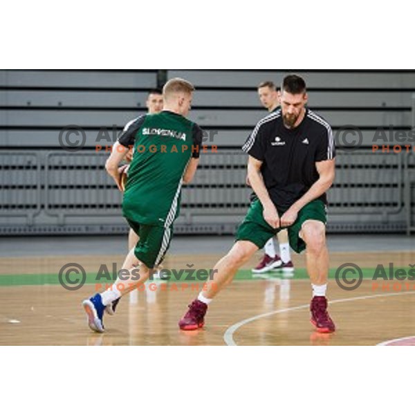 during training of the Slovenian basketball national team, Arena Stozice, Ljubljana, Slovenia on February 19, 2018