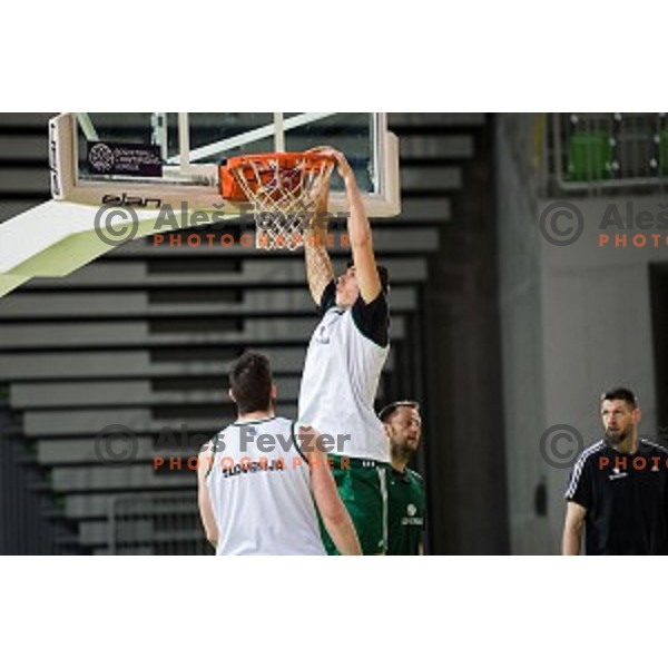 during training of the Slovenian basketball national team, Arena Stozice, Ljubljana, Slovenia on February 19, 2018