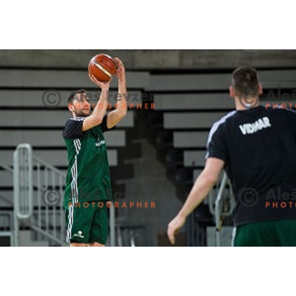 during training of the Slovenian basketball national team, Arena Stozice, Ljubljana, Slovenia on February 19, 2018