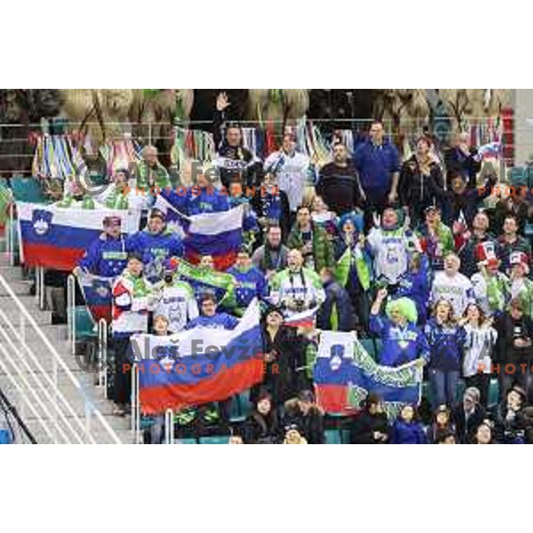 Olympic ice hockey tournament match between Slovenia and Norway during PyeongChang 2018 Winter Olympic Games, South Korea on February 20, 2018
