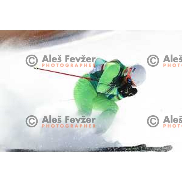 Filip Flisar (SLO) skiing in 1/4 finals of Men\'s Ski Cross at Phoenix Snow park during PyeongChang 2018 Winter Olympic Games, South Korea on February 21, 2018