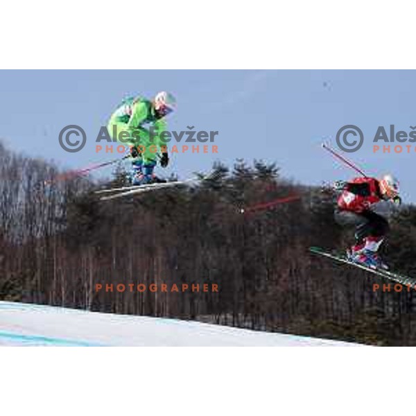 Filip Flisar (SLO) skiing in the semi-final of Men\'s Ski Cross at Phoenix Snow park during PyeongChang 2018 Winter Olympic Games, South Korea on February 21, 201