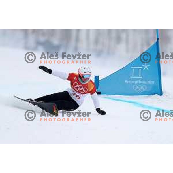 Tim Mastnak (SLO) racing in Qualifiaction of Snowboard Men\'s Parallel Giant Slalom at Phoenix Snow park during PyeongChang 2018 Winter Olympic Games, South Korea on February 24, 2018