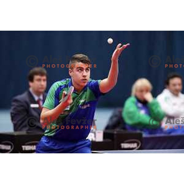 Darko Jorgic (SLO) in action during table tennis match between Slovenia and Belgium at Otocec Sports Centre, Slovenia on February 27, 2018
