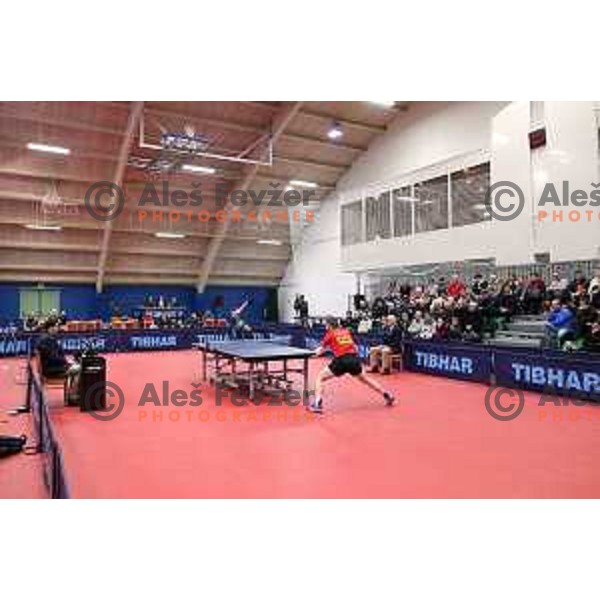 Darko Jorgic (SLO) in action during table tennis match between Slovenia and Belgium at Otocec Sports Centre, Slovenia on February 27, 2018