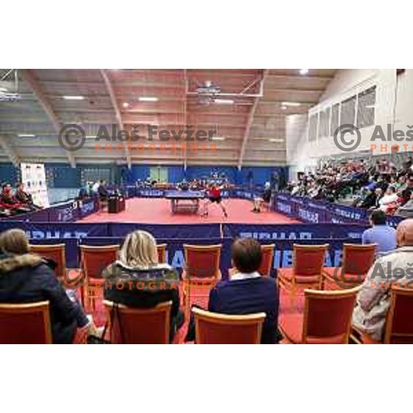 Darko Jorgic (SLO) in action during table tennis match between Slovenia and Belgium at Otocec Sports Centre, Slovenia on February 27, 2018