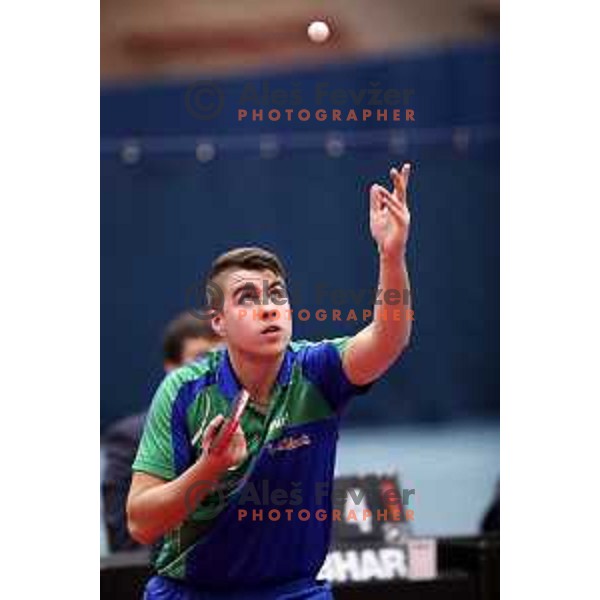Darko Jorgic (SLO) in action during table tennis match between Slovenia and Belgium at Otocec Sports Centre, Slovenia on February 27, 2018